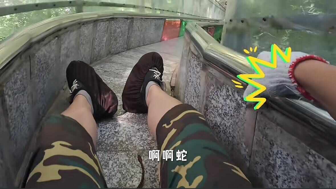 游客在广西一景区玩滑道遇1米长蛇景区：有做防蛇处理已道歉